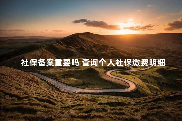 社保备案重要吗 查询个人社保缴费明细